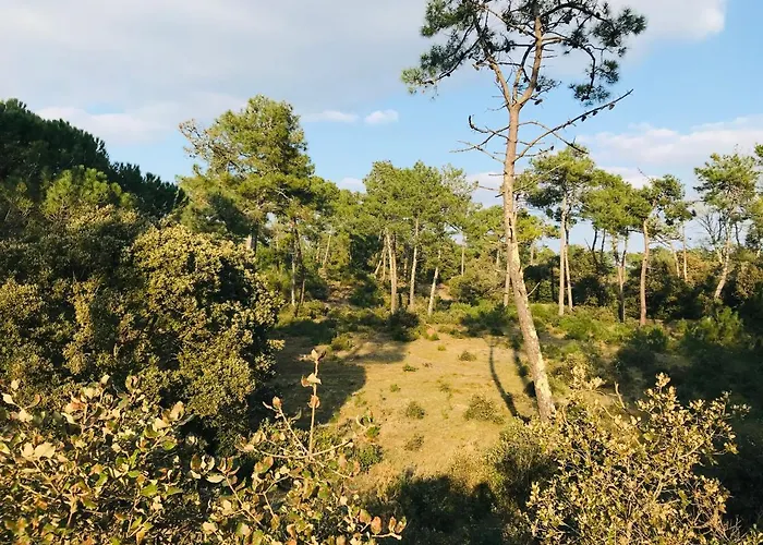 180° Vue Ocean, T3 Marin Haut De Gamme