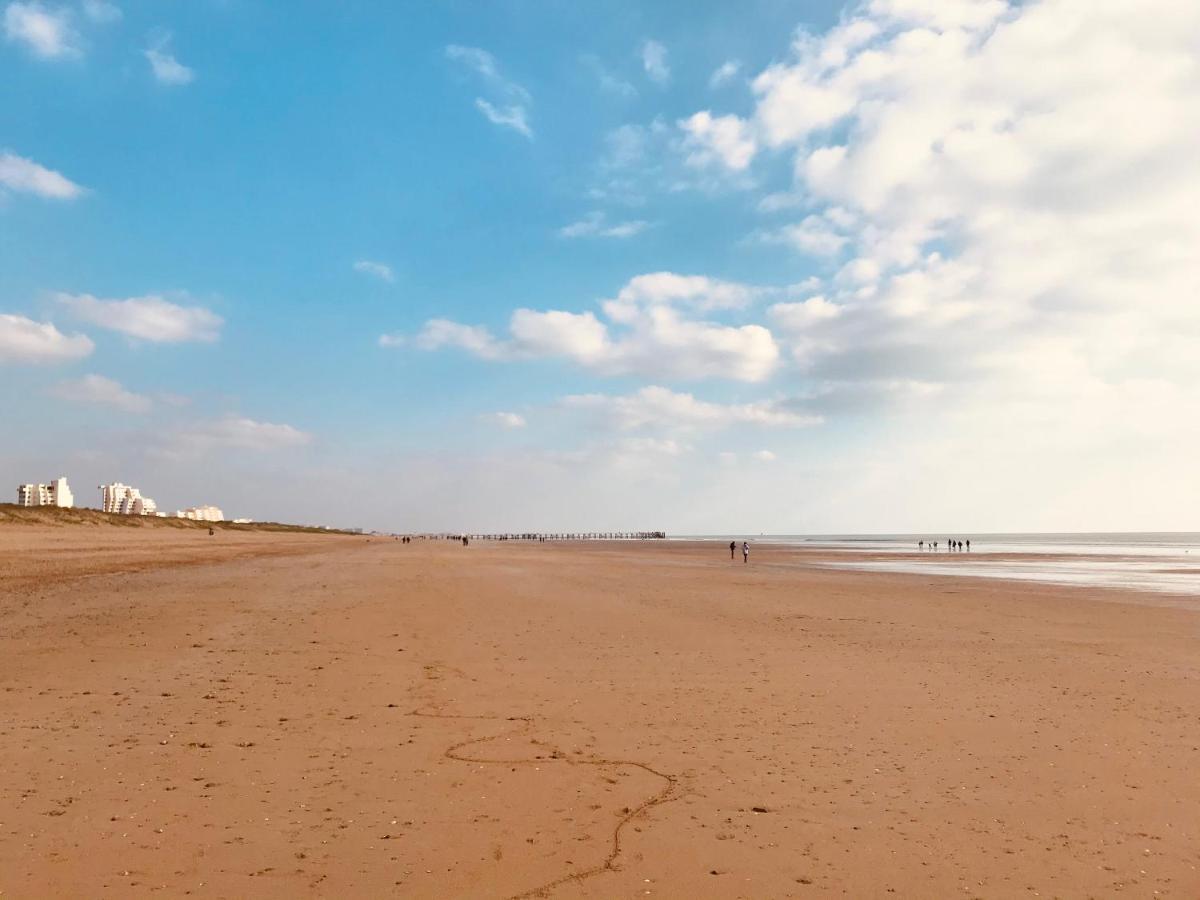 180° Vue Ocean, T3 Marin De Gamme Appartement